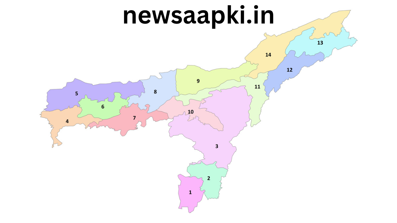 Lok sabha constituency in Assam