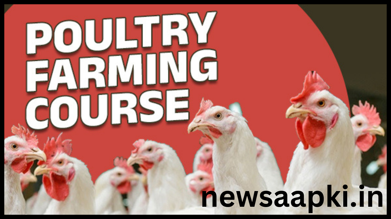 Poultry Farm Business ideas in hindi