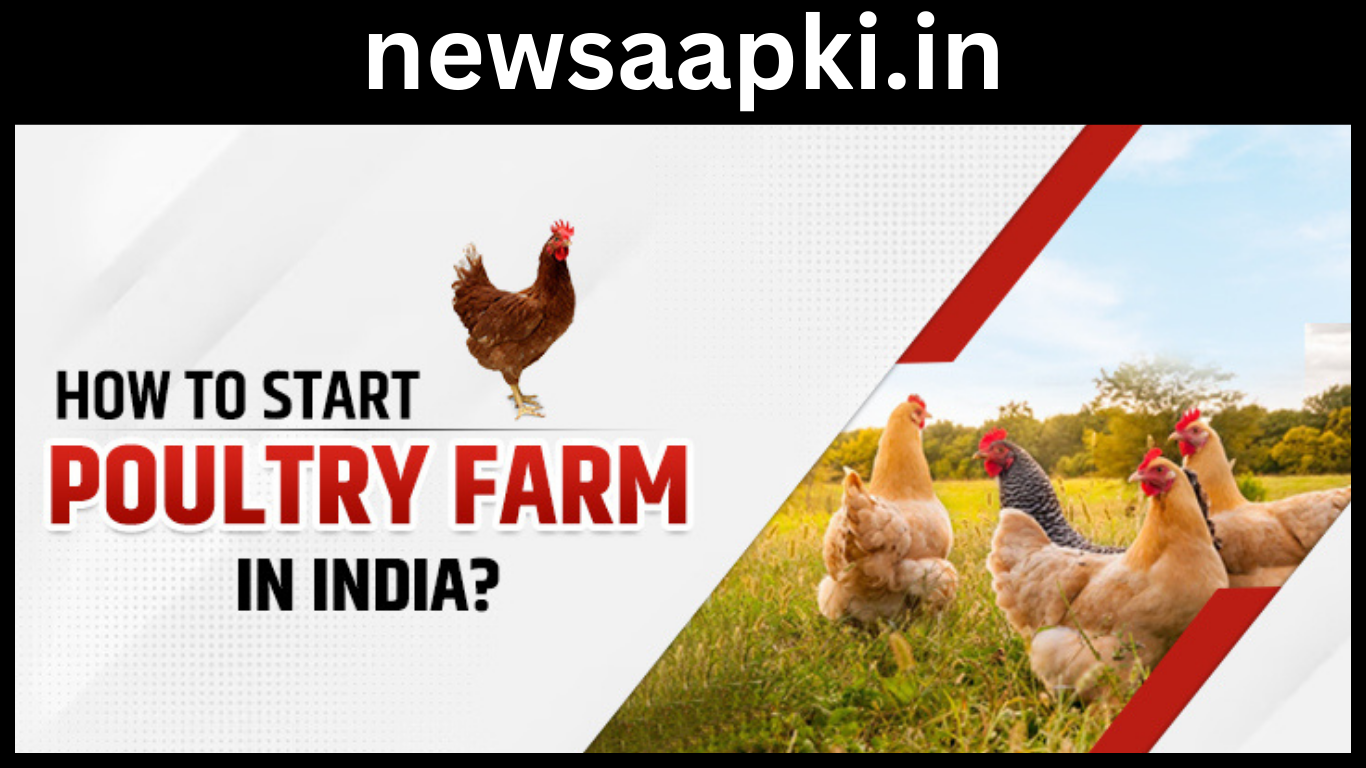 Poultry Farm Business ideas in india in hindi