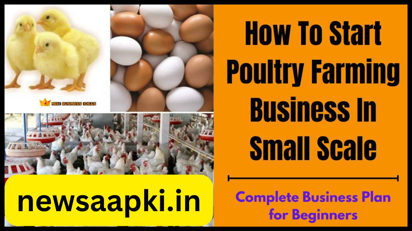 Poultry Farm Business ideas in india in hindi