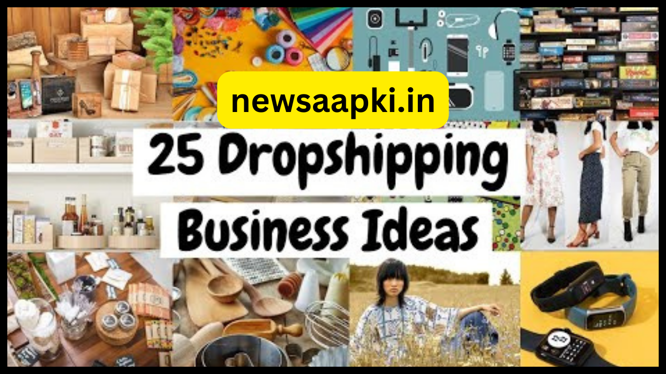 Best Dropshipping Business Ideas in India in Hindi