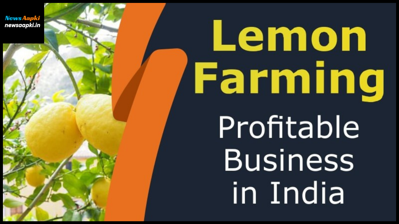 Lemon Farming Business Ideas in Hindi