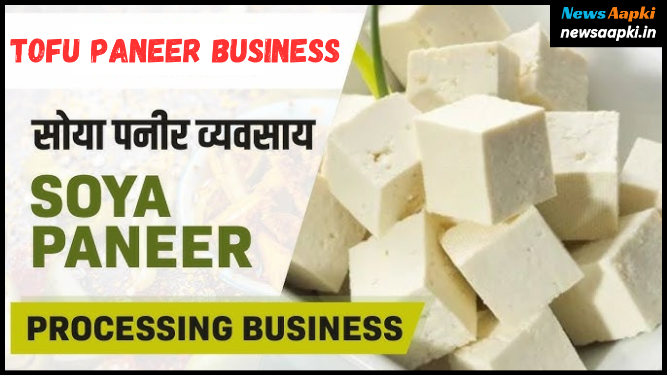 Soya Beans Paneer Tofu Business Ideas Model Plan, Investment & Profit in Hindi