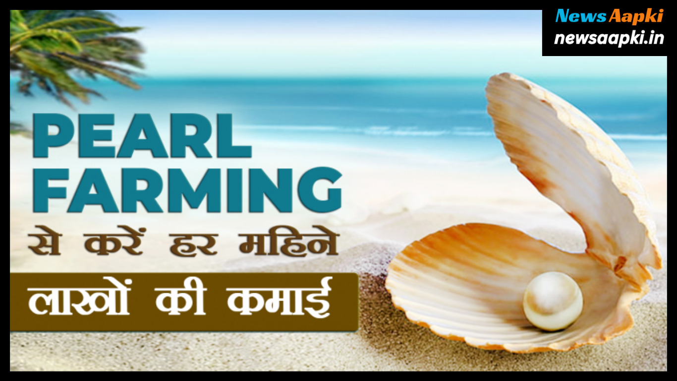 Pearl Farming Business Ideas Plan Investment Profit