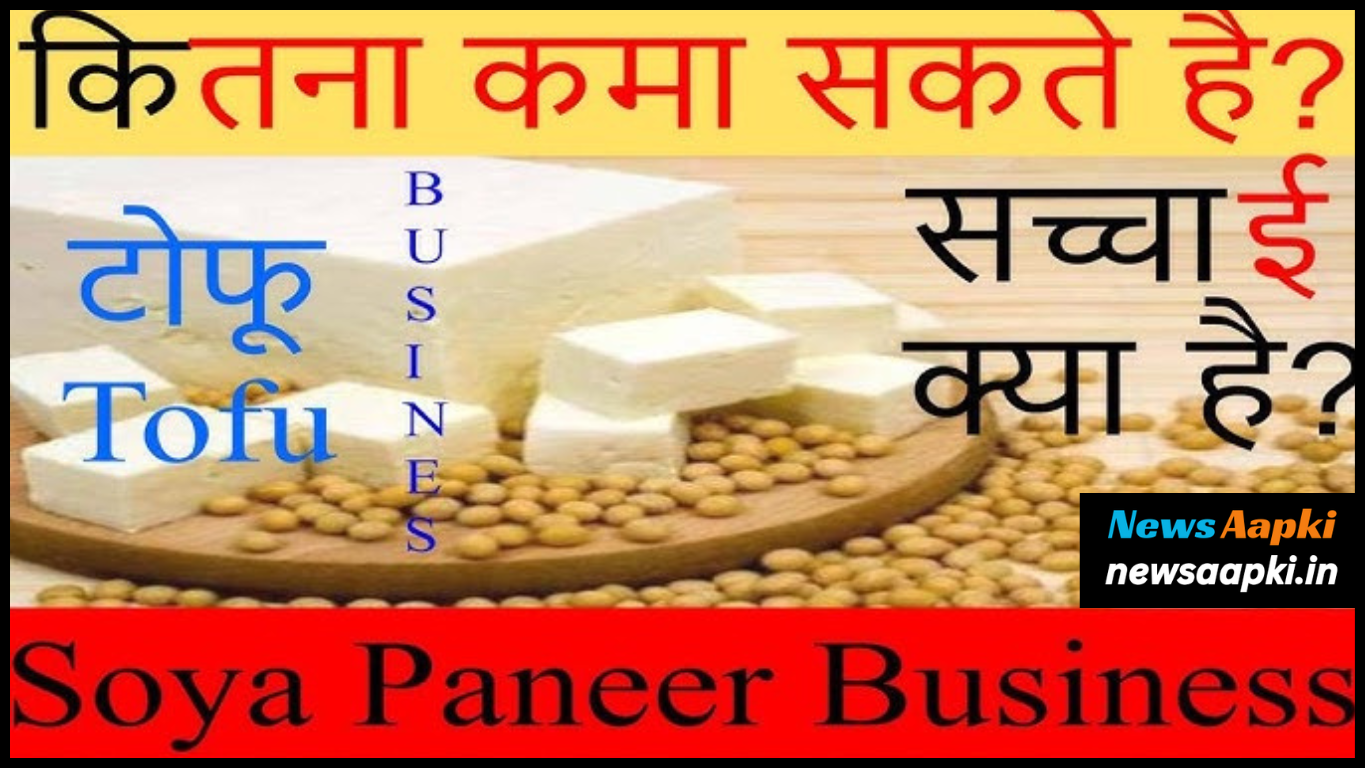 Soya Beans Paneer Tofu Business Ideas Model Plan, Investment & Profit in Hindi