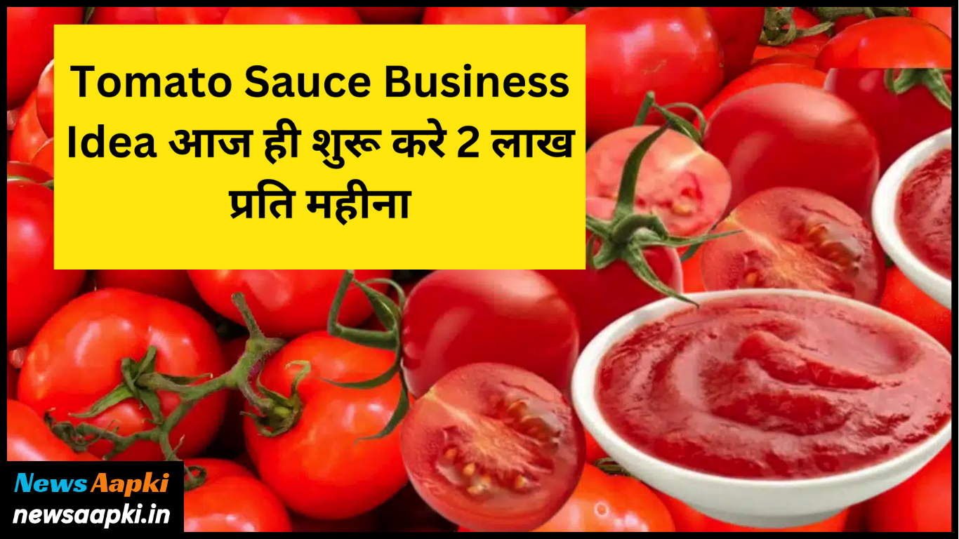 Tomato Ketchup Business Idea Work Model Plan, Investment Cost Expenses and Profit Margin Earnings in Hindi