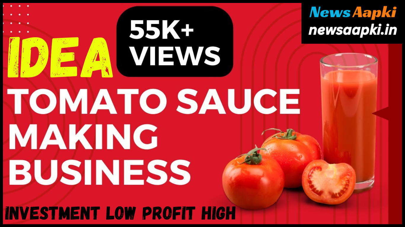 Tomato Ketchup Business Idea Work Model Plan, Occupation, Profession, Employment, Investment Cost Expenses and Profit Margin Earnings in Hindi